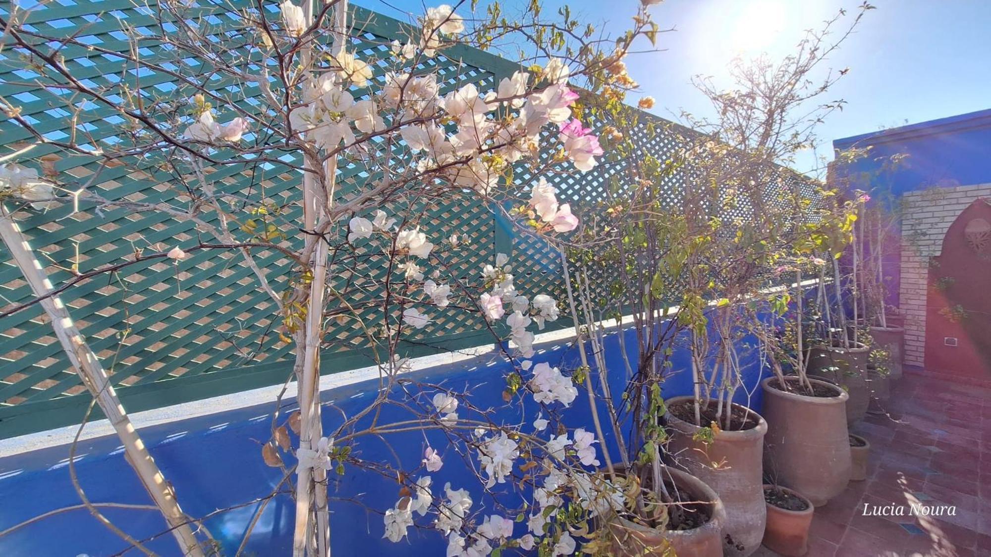 Riad Med Agora Μαρακές Εξωτερικό φωτογραφία
