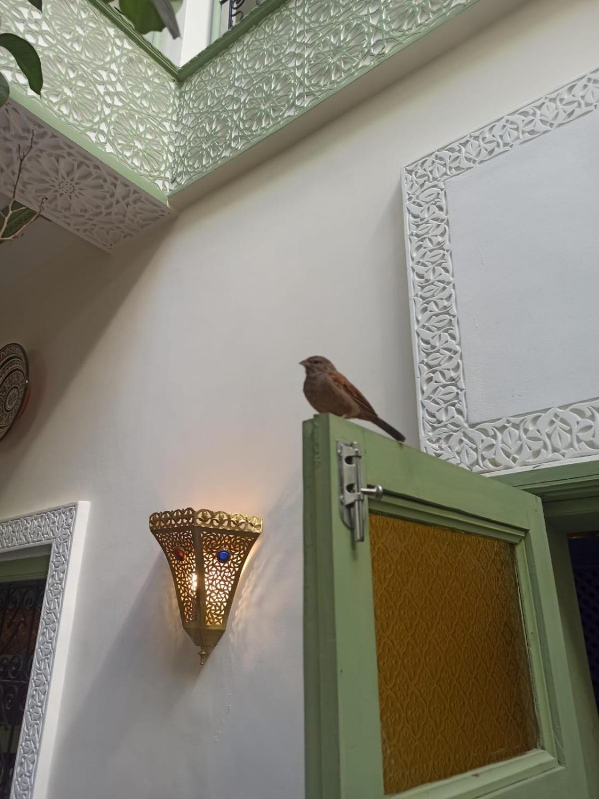Riad Med Agora Μαρακές Εξωτερικό φωτογραφία